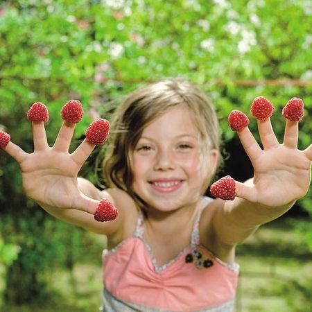 Ein junges Mädchen hält ihre Hände mit frischen Himbeeren hoch und lächelt fröhlich in die Kamera