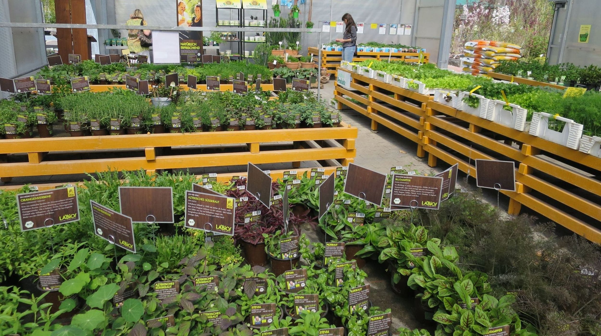 Großes, helles Gartencenter voller Pflanzen, das eine grüne und einladende Atmosphäre schafft